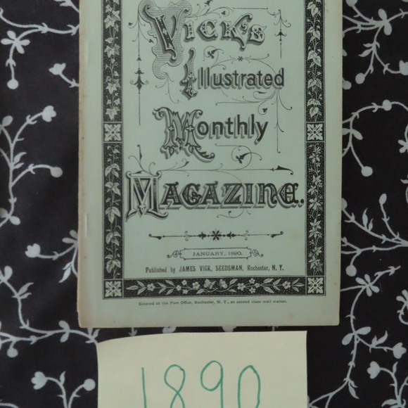 Vick's Illustrated Monthly Magazine  Lot x 33 1800s - Picture 5 of 12
